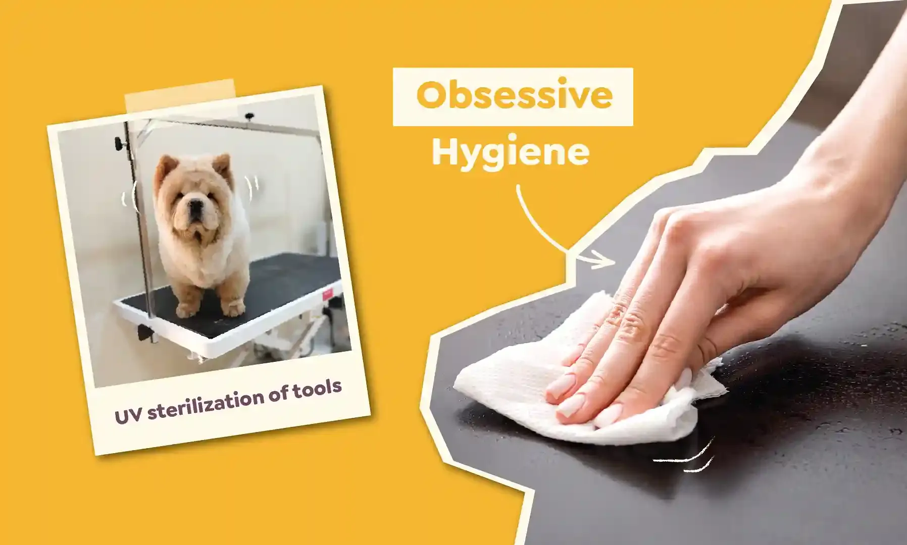 UV Sterilisation of tools and sanitisation of grooming stations to maintain hygiene