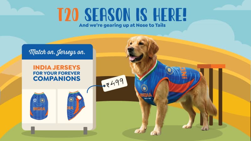 Learn about Puppy care from grooming to nutrition and more
