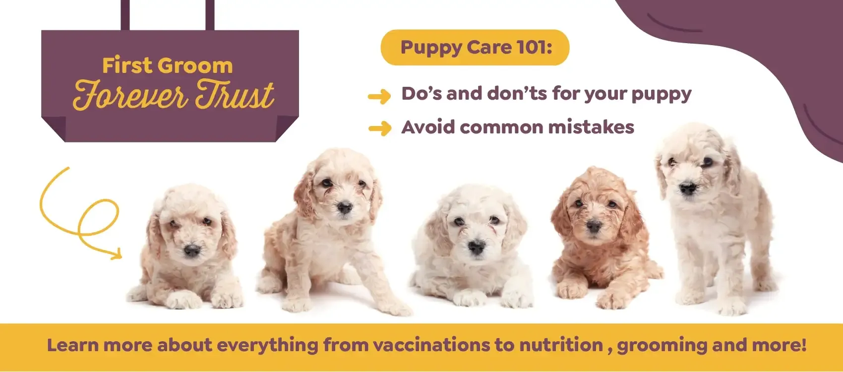 Learn about Puppy care from grooming to nutrition and more